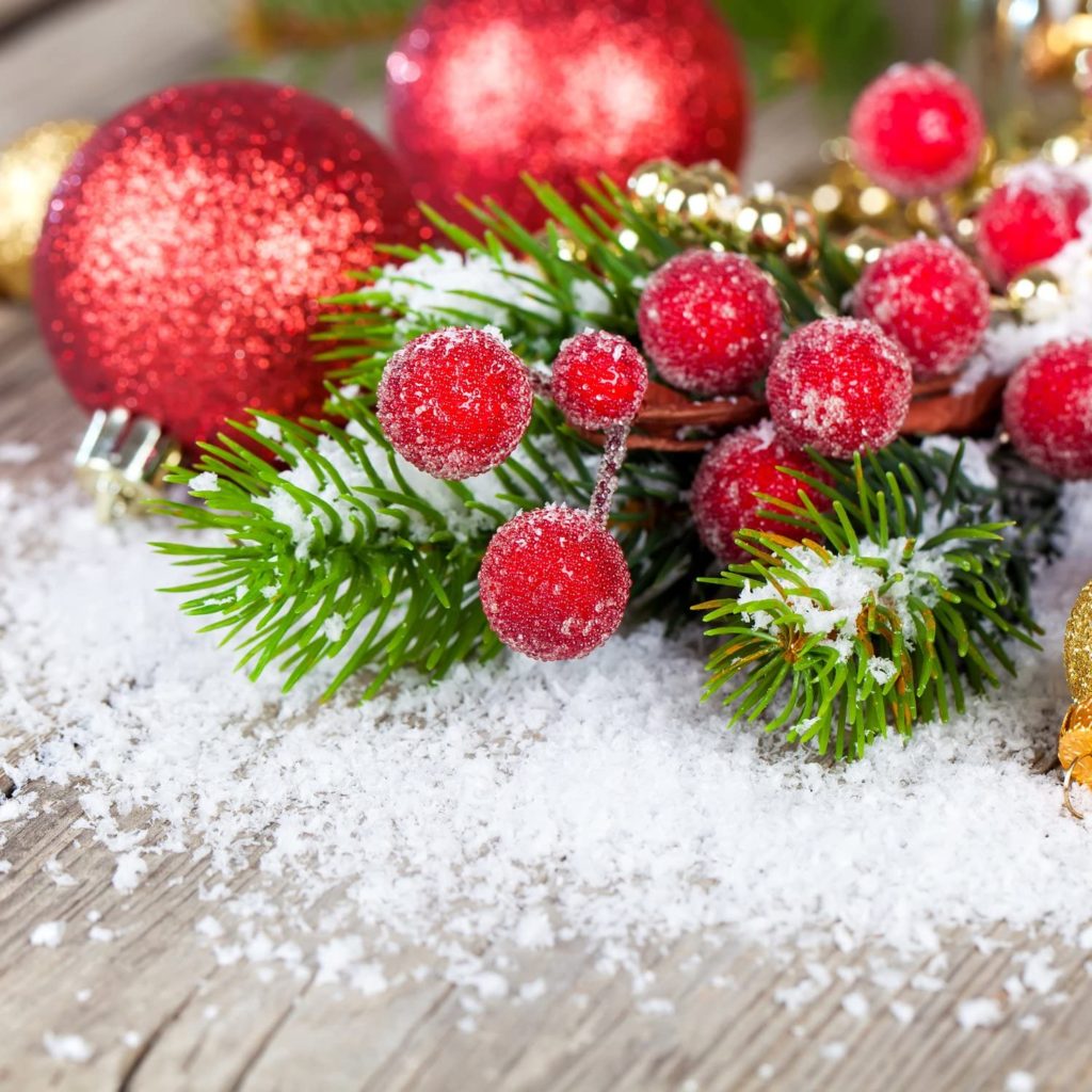 sugar coated holly berries decor