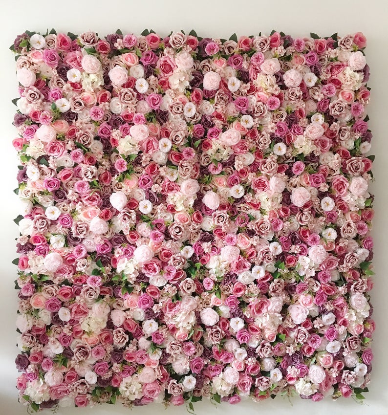 pink roses flower wall