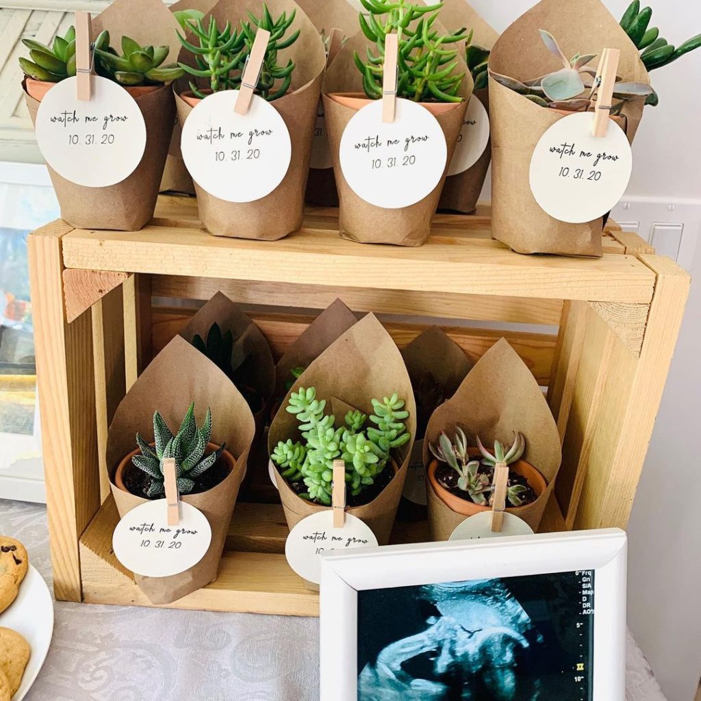 succulent party favors 