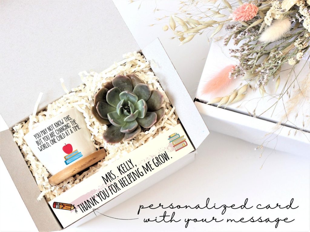 succulent gift box 
