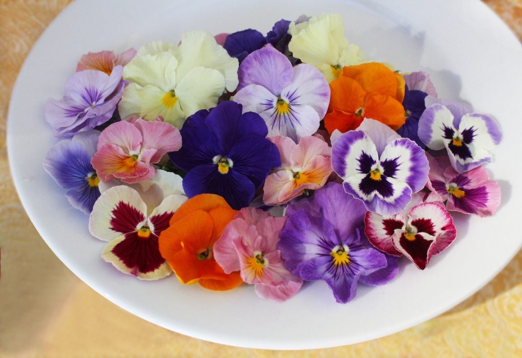 edible flowers