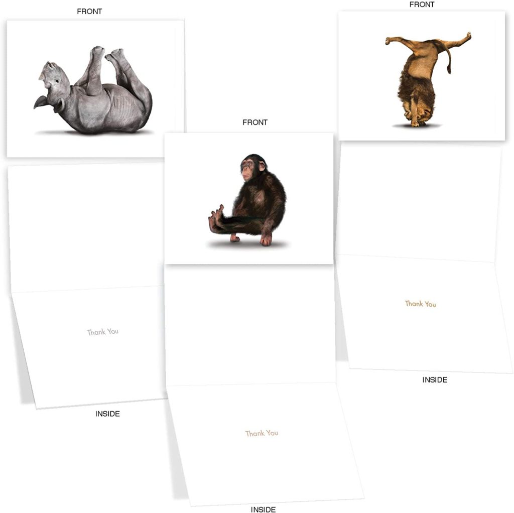 Animals Doing Yoga Cards