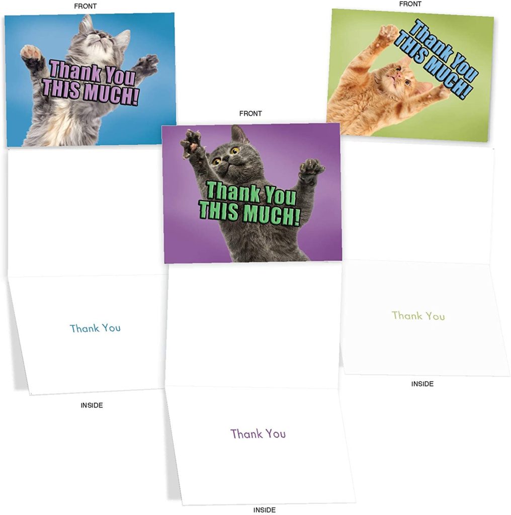 Thank You This Much Cat Funny Thank You Card