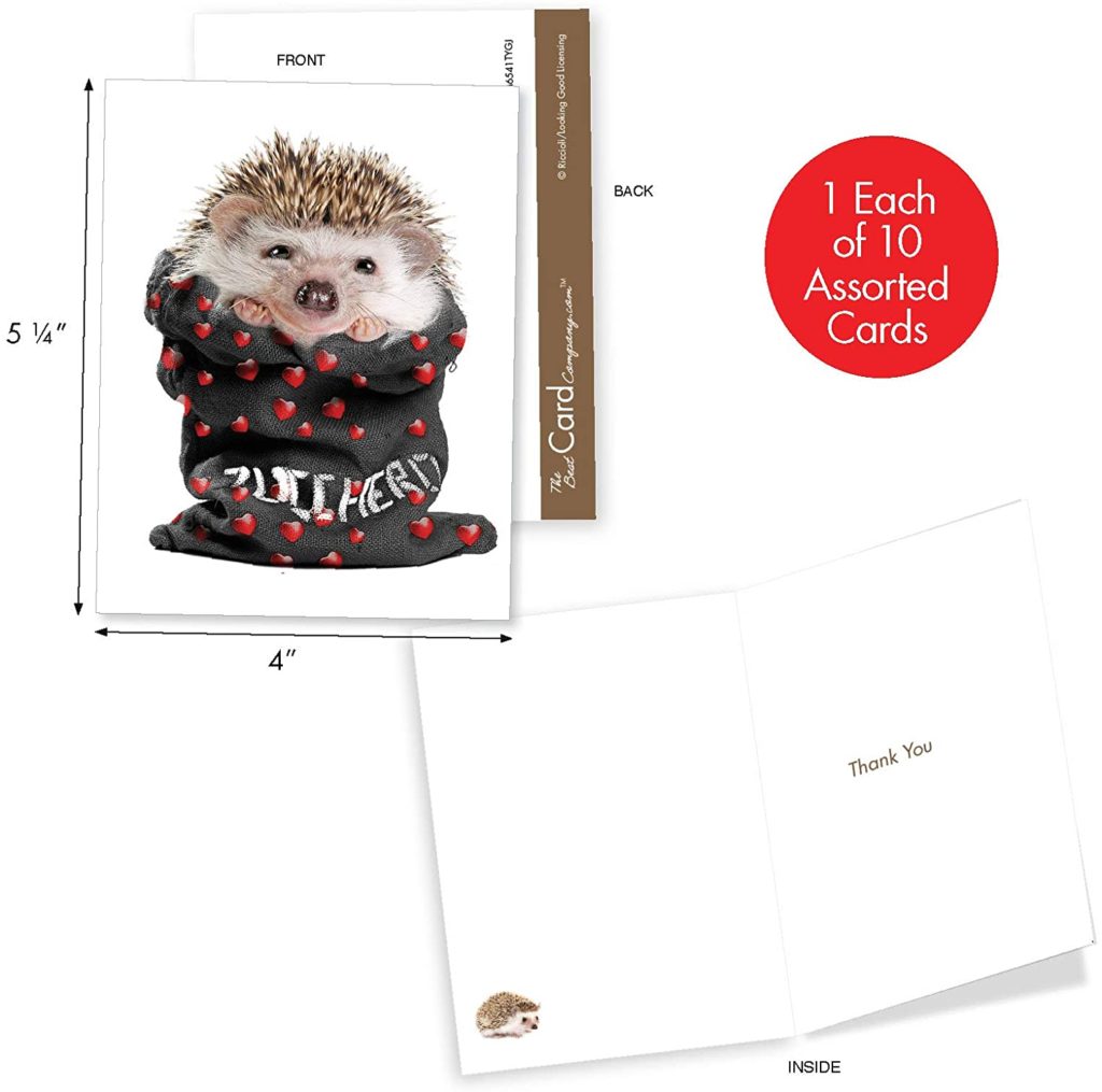 Baby Hedgehog Card