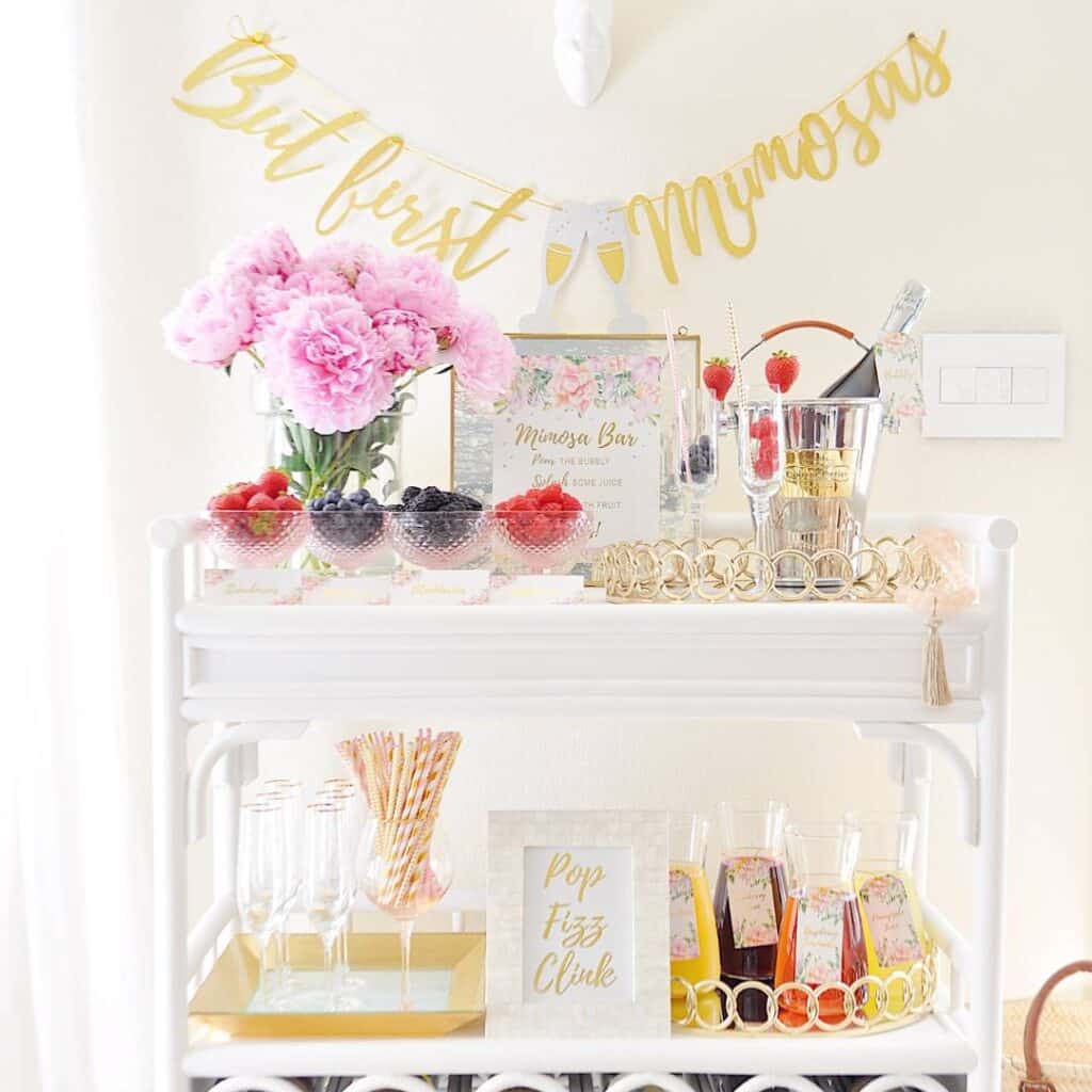 mimosa bar decor setup kit